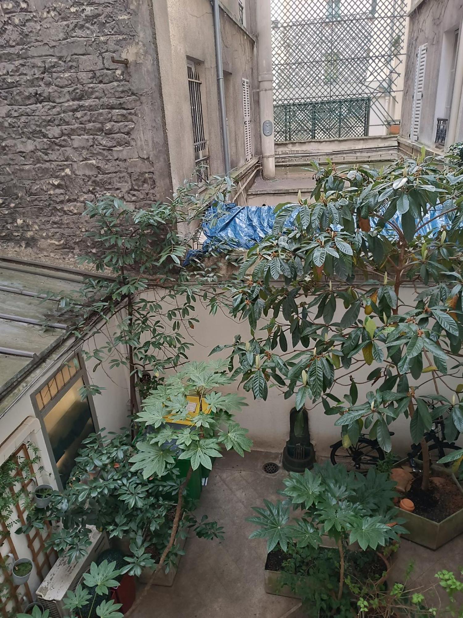 Studio Cosy Paris 6Eme Bon Marche المظهر الخارجي الصورة